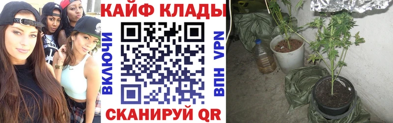 Купить закладку COCAIN  APVP  Меф мяу мяу  ГАШ  Конопля  Буйнакск