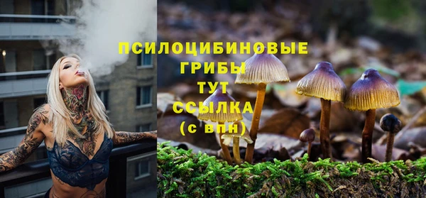 круглые Каменка