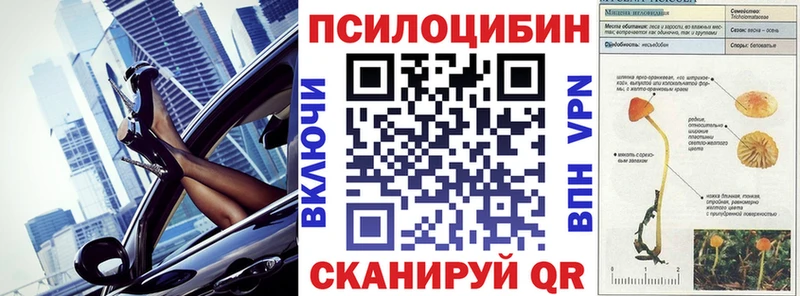 Псилоцибиновые грибы Cubensis  Купить  Буйнакск 